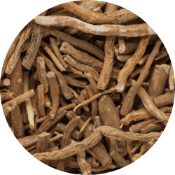 Revvl Health uses Sensoril® Ashwagandha in its Sleep, Restore, and Recover formulas because of its unique use of both the root and leave extracts, increasing its overall health benefits to the user. 